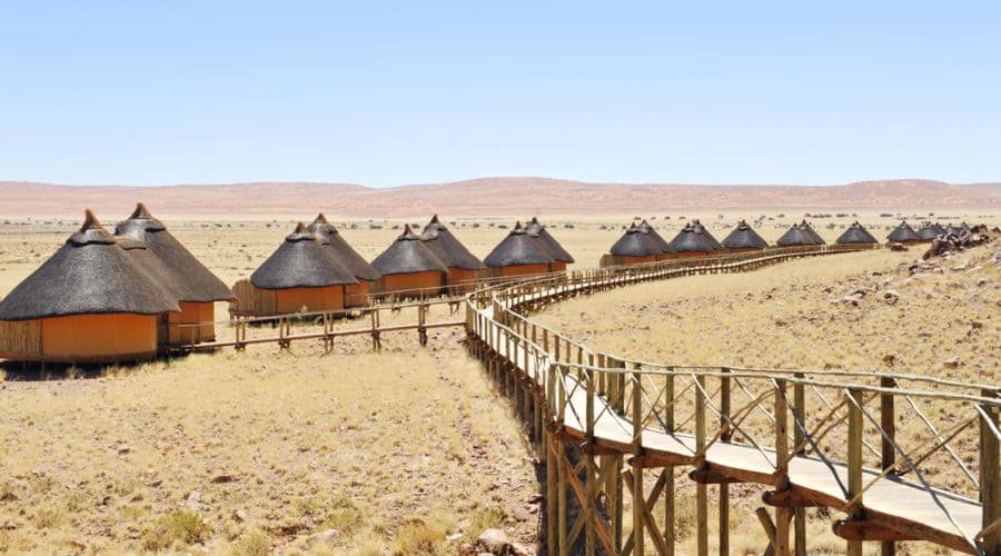 ¿Cuáles son las opciones de vehículos más populares en Sesriem?